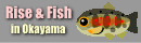 risefish